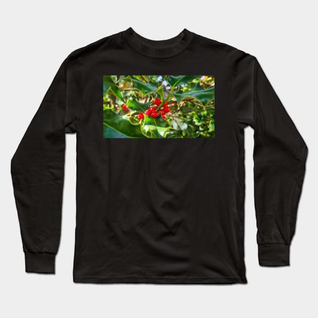 Christmas Holly Berry Leaves Long Sleeve T-Shirt by Anastasia-03